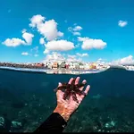 Seaview Faro 아리나가